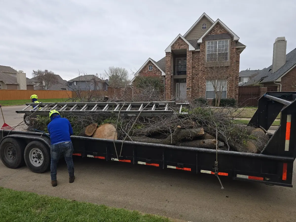 Expert Tree Fertilization with proper safety equipment in Fair Play